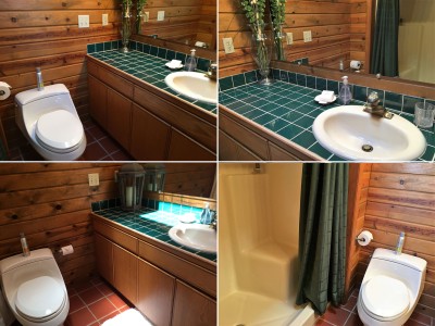 Two bathrooms - one with shower only and one with tub/shower combo