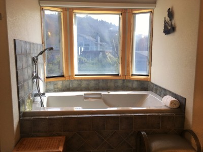 Master bedroom suite bathroom soaking tub
