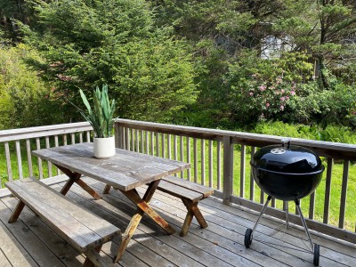 Deck with picnic table.