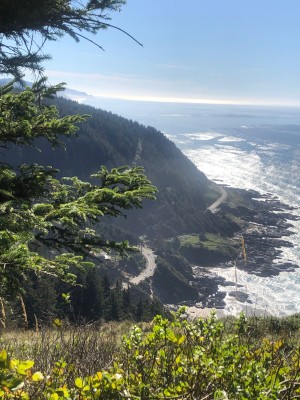 Breathtaking view from Cape Perpetua.