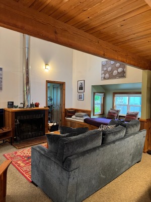 Smart TV and Fireplace in Living Room