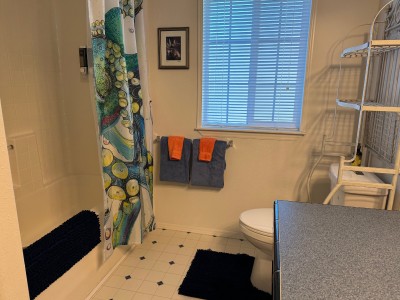 Common bath with tub/shower combo.