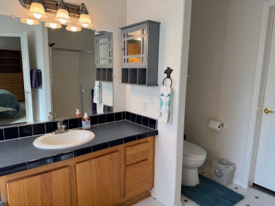Master bathroom