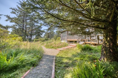 Pathways along the butterfly meadow