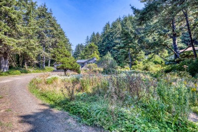 Driveway leading to the Cabin