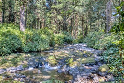 Bob Creek - right next to the Cabin