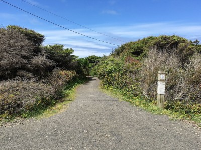 Trail to the beach - Just across the street