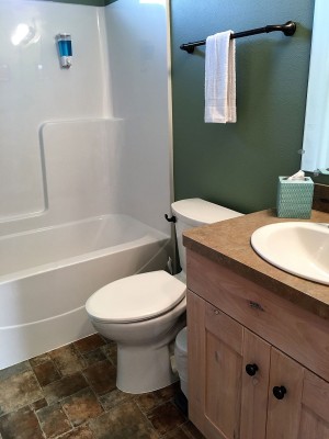 Bathroom with Tub/Shower Combo